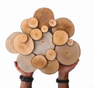 ART3135 Doğal Kütük Duvar Süsü